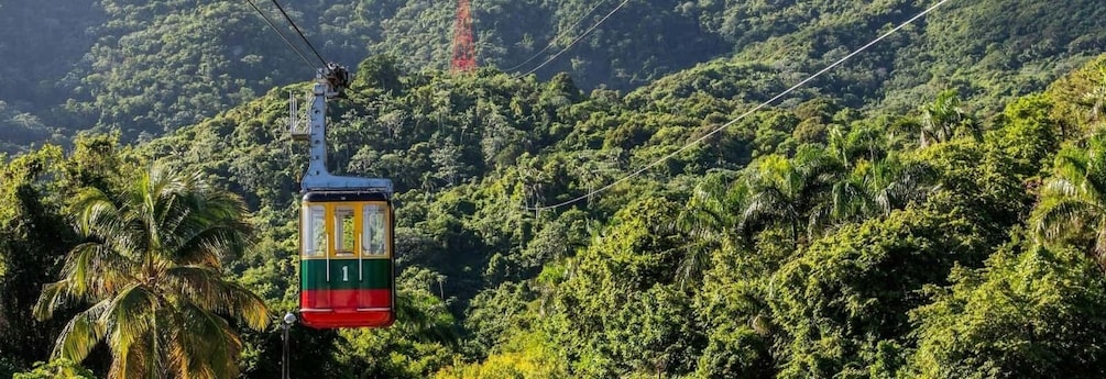 A cable car suspended over a lush, green forested area. 3