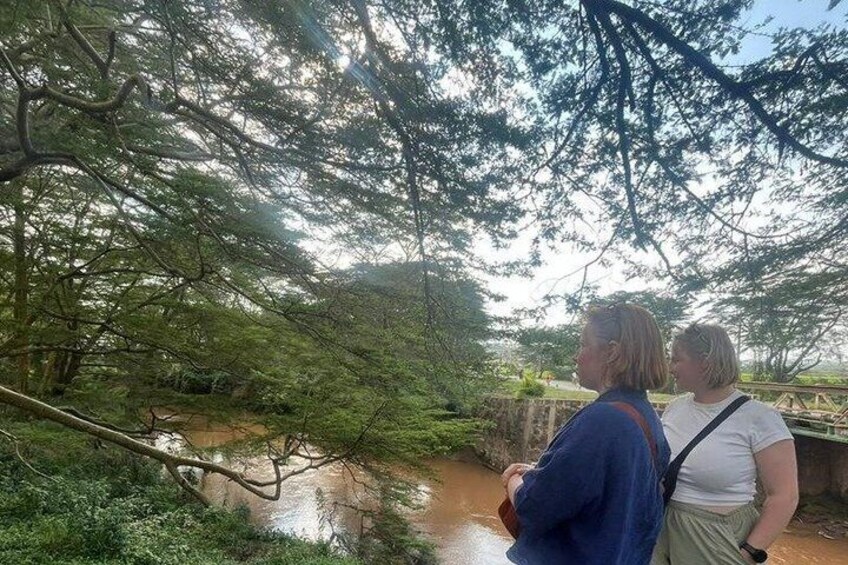Two people observing a river in a wooded area with a bridge in the background. 2