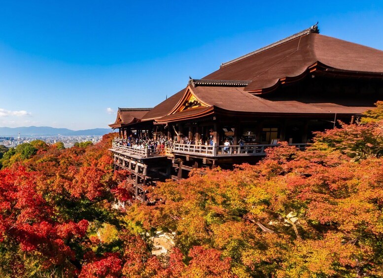 A traditional Japanese building with a curved roof, surrounded by autumn foliage. 3