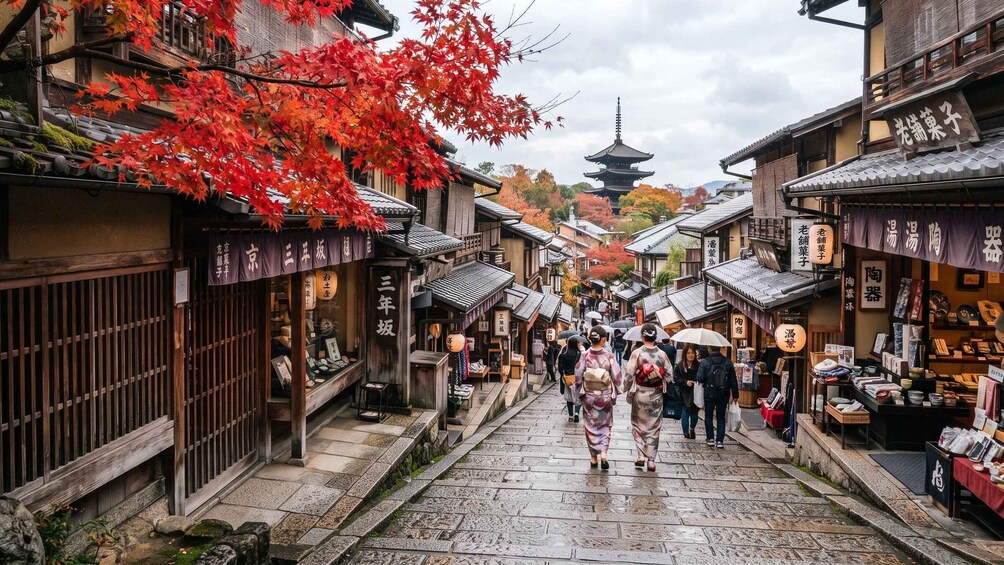 Picture 4 for Activity Kyoto: teamLab Biovortex, Kiyomizu-dera & Gion Tour 4