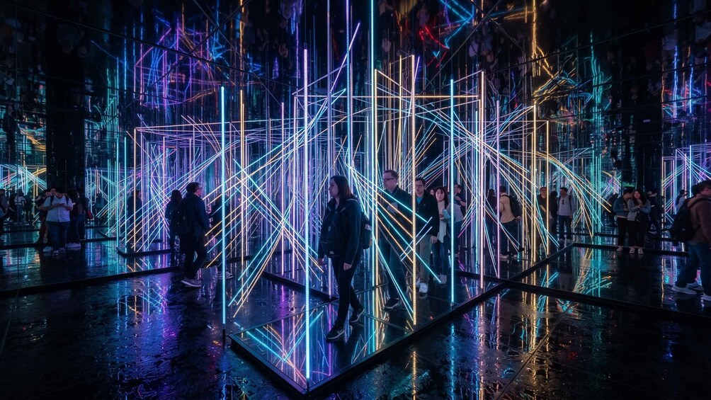 Picture 21 for Activity Kyoto: teamLab Biovortex, Kiyomizu-dera & Gion Tour 3