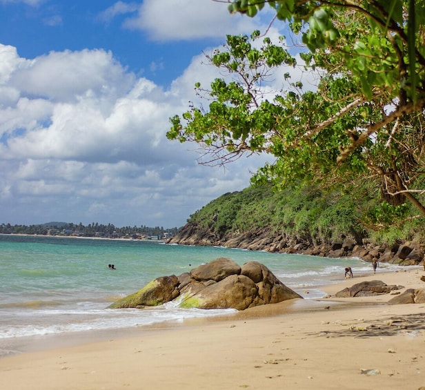 A beach with clear turquoise water, large rocks, and a forested hillside. 4