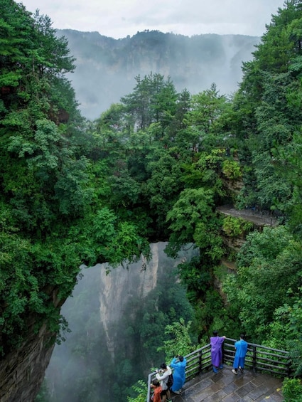 A forested gorge with a stone bridge and visitors. 3