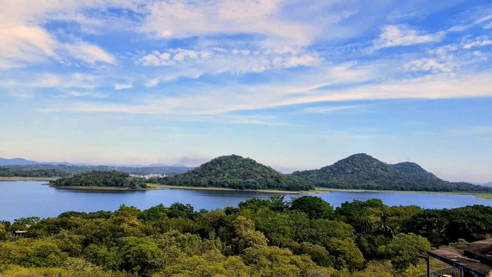 Picture 5 for Activity Girithale Lake Boat Trip with Bird Watching & Museum Visit 2