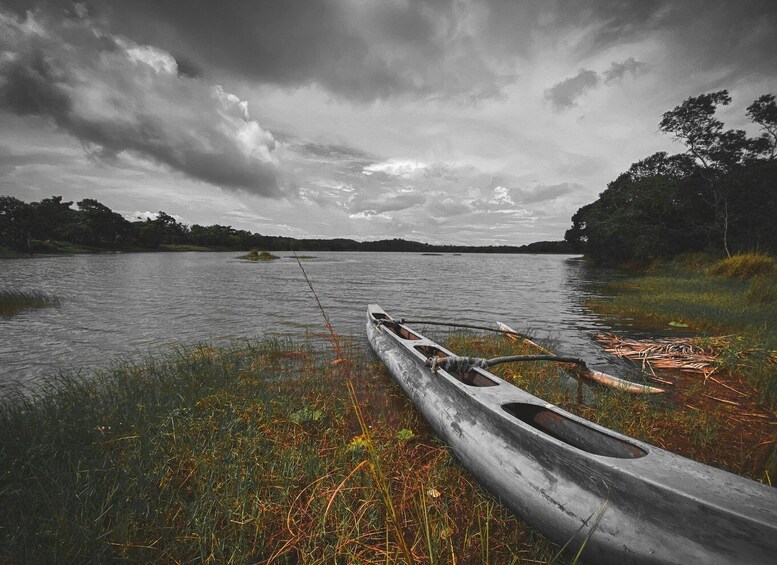 Girithale Lake Boat Trip with Bird Watching & Museum Visit 3