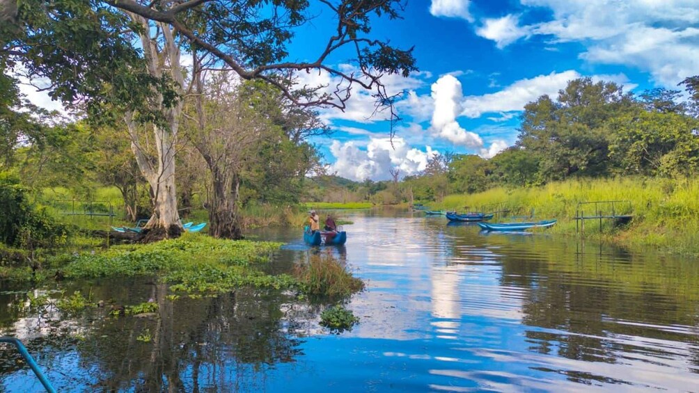 Picture 2 for Activity Girithale Lake Boat Trip with Bird Watching & Museum Visit 5