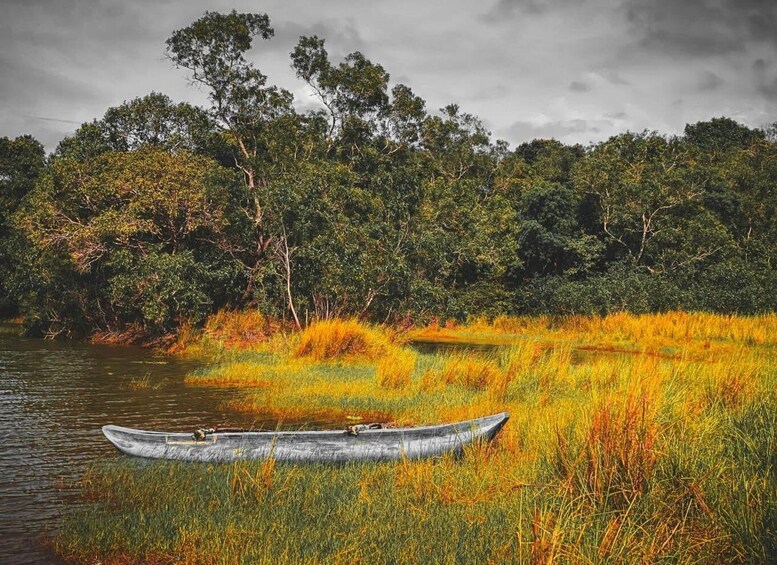 Picture 1 for Activity Girithale Lake Boat Trip with Bird Watching & Museum Visit 4
