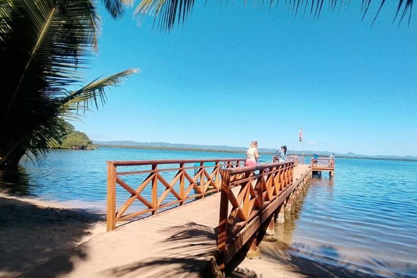 A wooden pier extending into calm water, palm trees, and a clear sky. 5