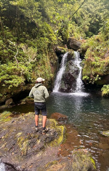 A person standing on a rock by a waterfall in a forested area. 3