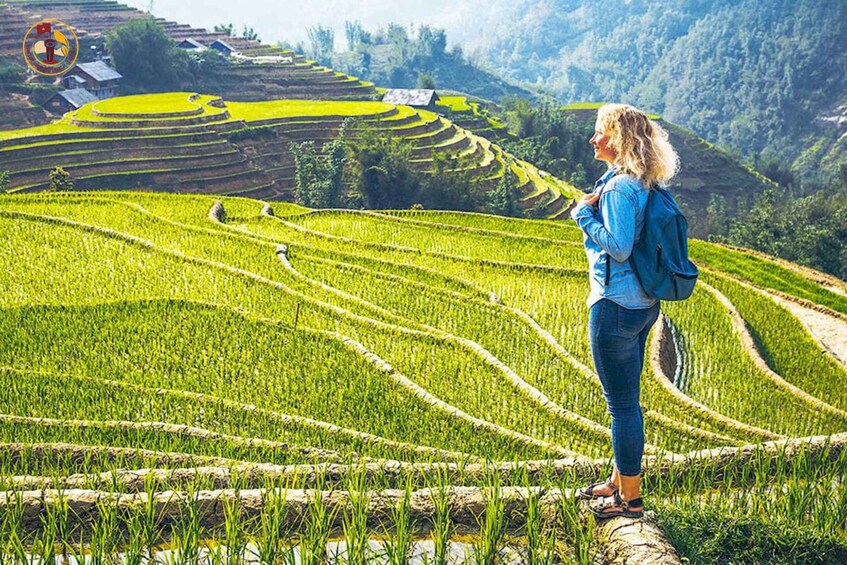 Terraced rice fields, a person standing on a rock, and a mountainous landscape. 2