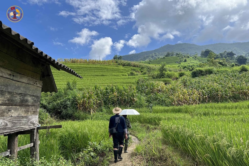 A person walking on a path through a lush green field with a wooden structure on the left. 1