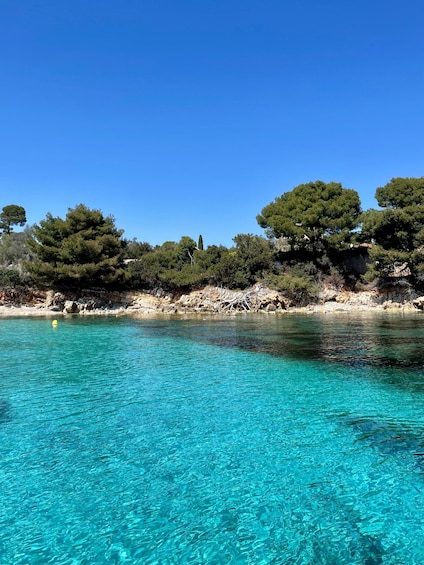 A clear blue sea, rocky shoreline, and dense green trees. 2