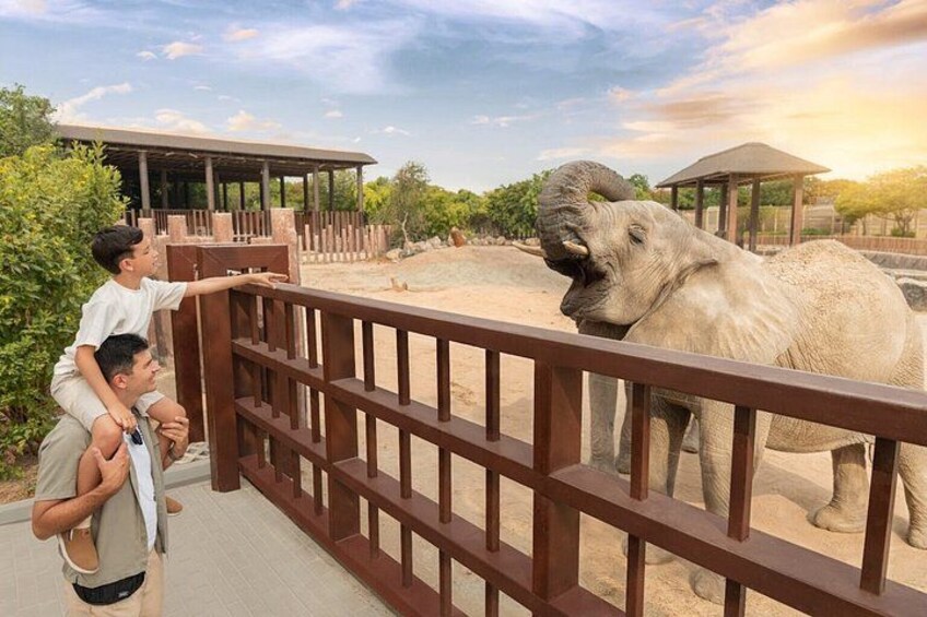 Safari Park and Desert Safari in Dubai 1