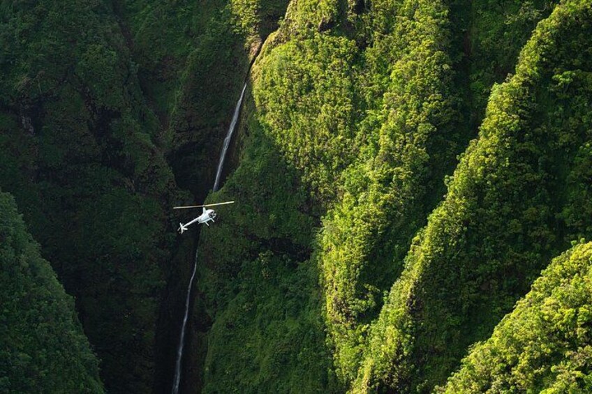 Private 60 Minutes Helicopter Tour in Honolulu 2