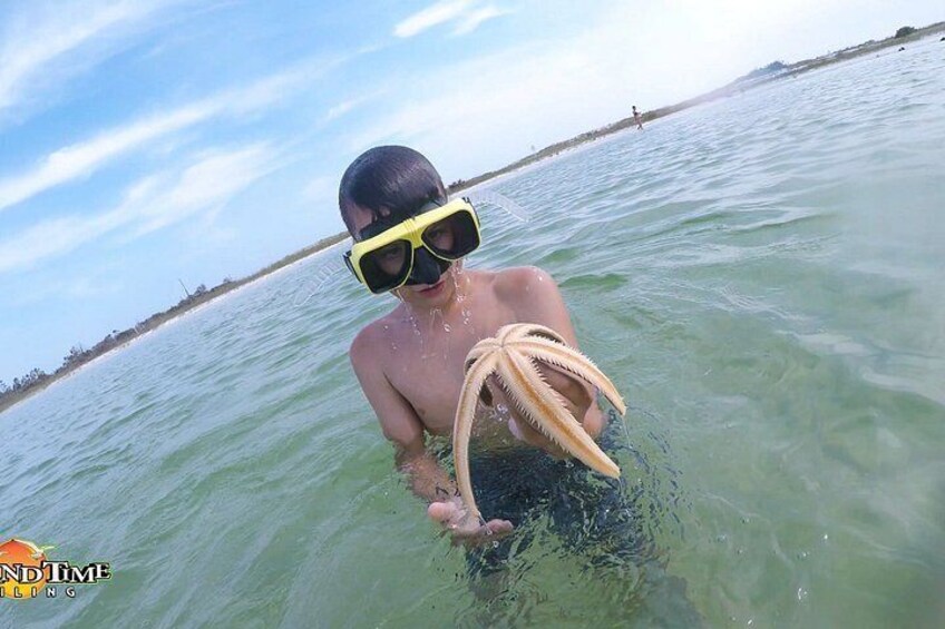 Una persona in acqua cristallina che tiene una tartaruga marina. 1
