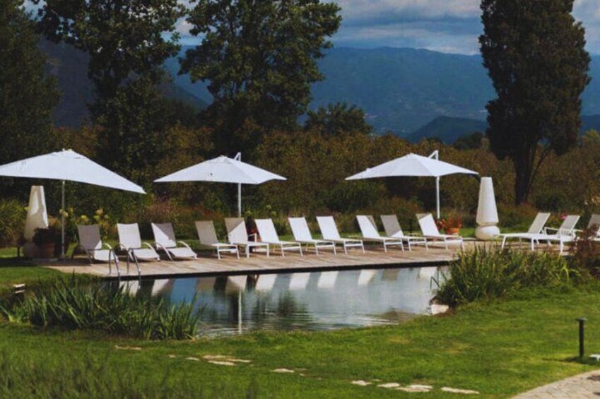 A pool with lounge chairs and umbrellas, surrounded by greenery and trees. 2