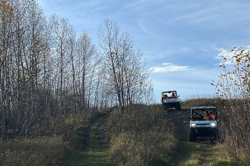 A dirt road with vehicles, surrounded by trees and shrubs. 2