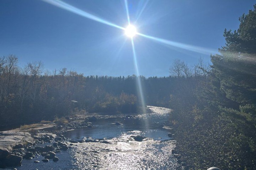 A river with sunlight reflecting off the water, surrounded by trees and a clear sky. 5