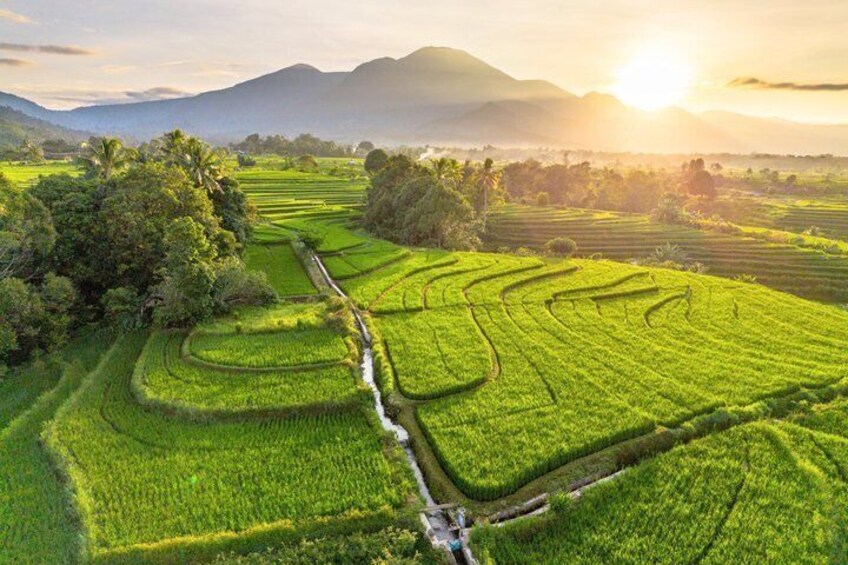 Bali UNESCO Rice Terrace, Beratan Temple & Tanah Lot Private Tour 5