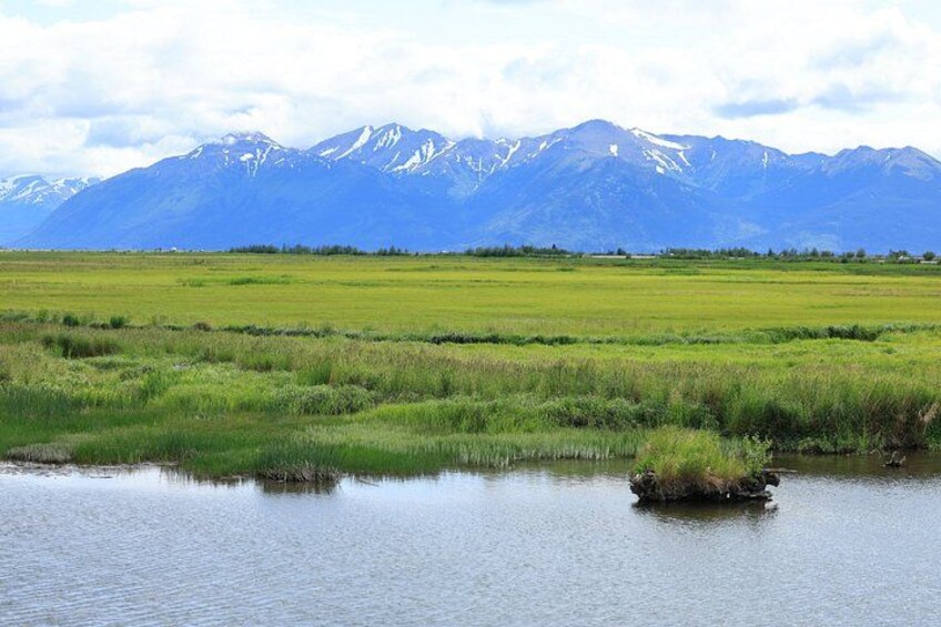 A river with a small island, a grassy field, and snow-capped mountains in the background. 2