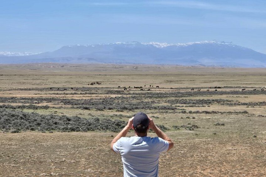 A person taking a photo of a herd of cattle in a wide-open landscape with mountains in the background. 4
