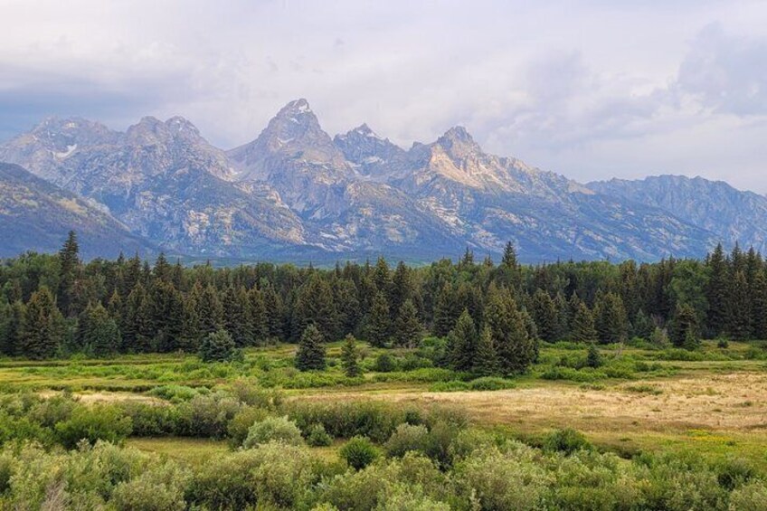 A mountain range with a forested foreground and a clear sky. 2