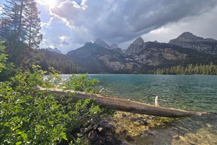 A lake with mountains in the background, a fallen tree in the foreground, and a cloudy sky. 4