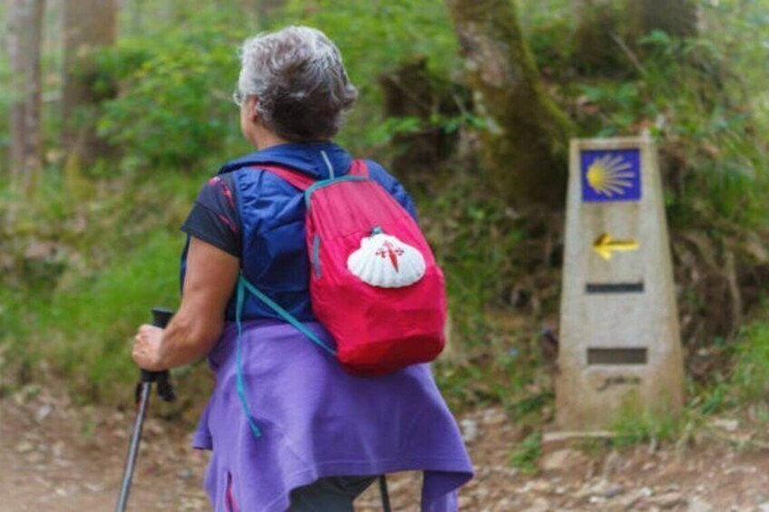 A person hiking with a red backpack and a purple garment, walking on a forest trail. 1