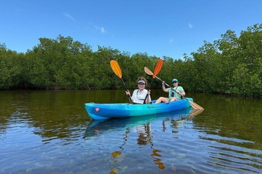 Two people kayaking on a calm river surrounded by mangrove trees. 5