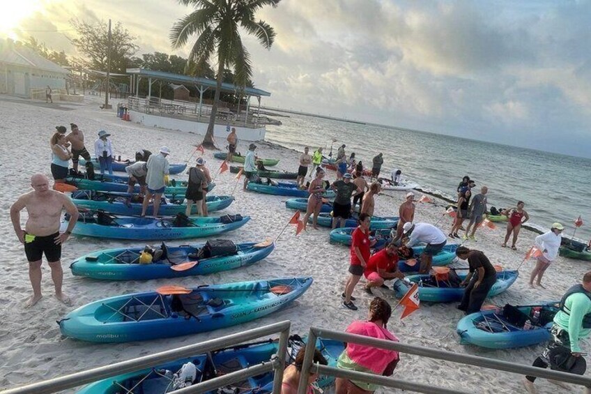 People preparing kayaks on a beach with palm trees and a cloudy sky. 3