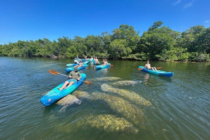 Persone che fanno kayak su un fiume circondato da vegetazione lussureggiante. 4