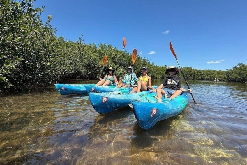 Three people kayaking on a calm river surrounded by mangrove trees. 1
