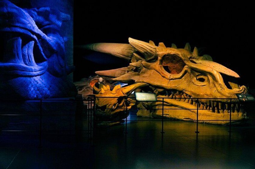 Official Game of Thrones Studio Tour Admission Ticket 1