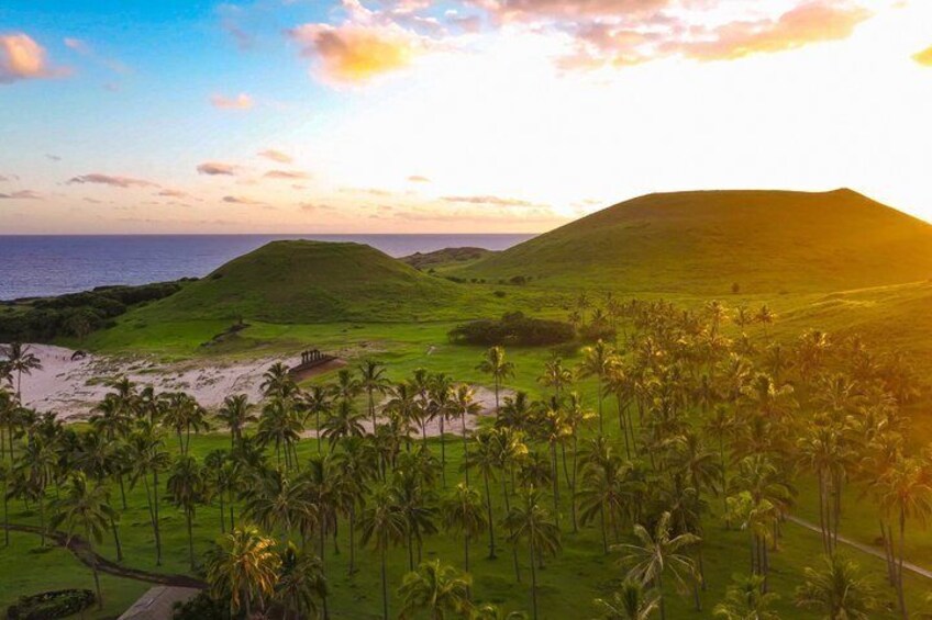Private Full Day Tour on Easter Island "The Moai is born" 3