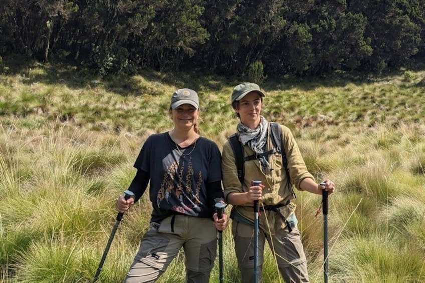 Best Mount Kilimanjaro Day Hike to Mandara Hut via Marangu Route 3