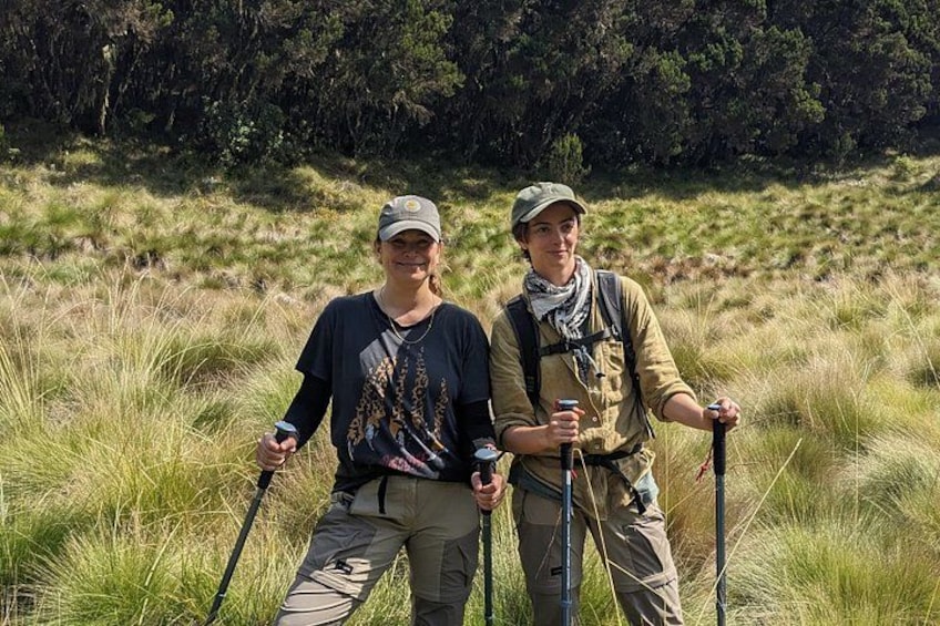 Mount Kilimanjaro Day Hike via Marangu Route 3