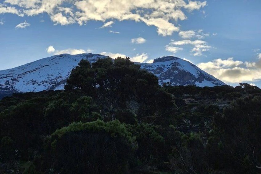 A snow-capped mountain, dense forest, and a clear sky. 1