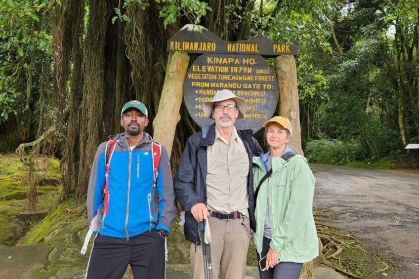Best Mount Kilimanjaro Day Hike to Mandara Hut via Marangu Route 2
