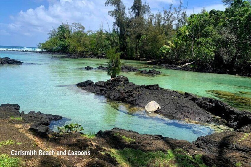 A coastal landscape with clear turquoise waters, rocky formations, and lush greenery at Carlsmith Beach and Lagoons. 3