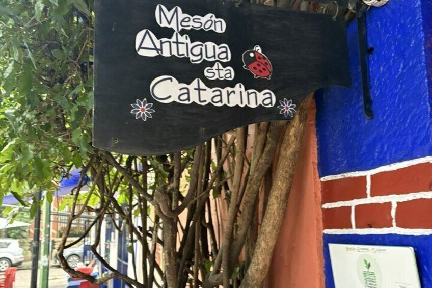 Ride Through Coyoacan in Ancient Roots for Frida Kahlo 3