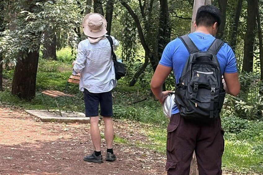 Two people walking on a forest path, one wearing a hat and carrying a bag, the other with a backpack. 2