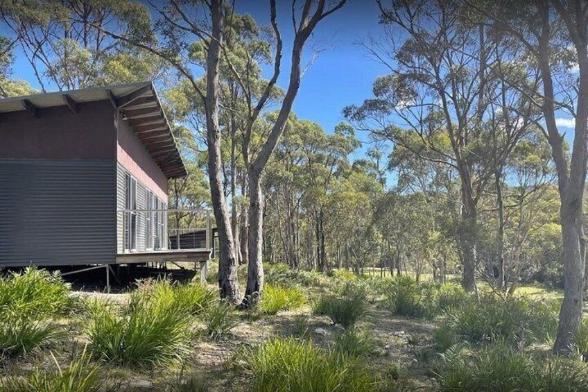 A modern house with a balcony, surrounded by a dense eucalyptus forest. 4