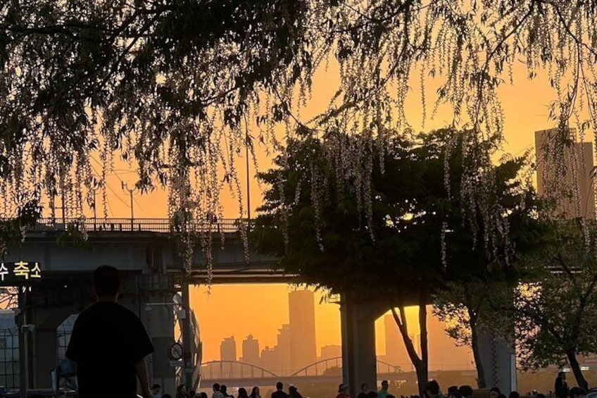 A sunset over a bridge with people and trees in the foreground. 4