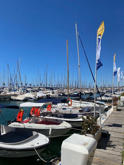 A marina with numerous boats docked, a clear blue sky, and a wooden walkway. 5