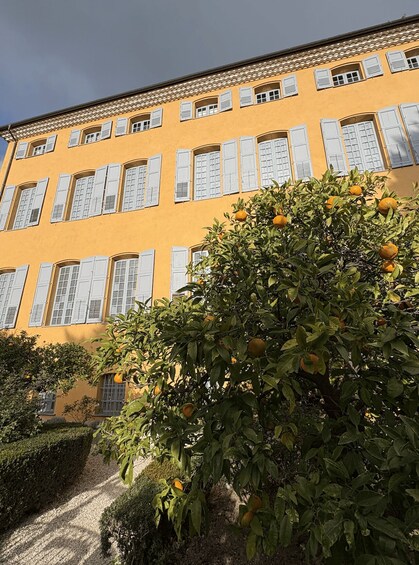 A yellow building with white shutters and a tree with oranges. 4