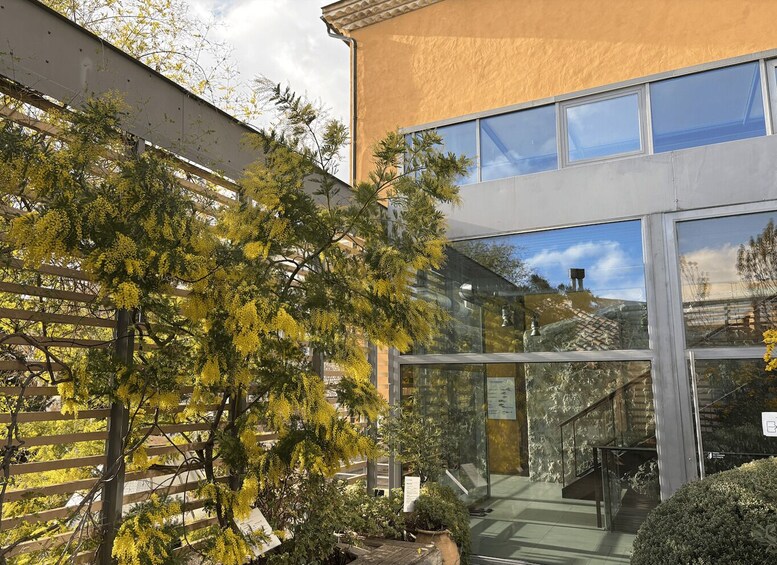 A building with large windows, a wooden fence, and yellow flowering trees. 5