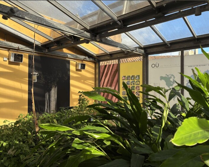 A greenhouse with glass panels, a yellow wall, and various plants. 5