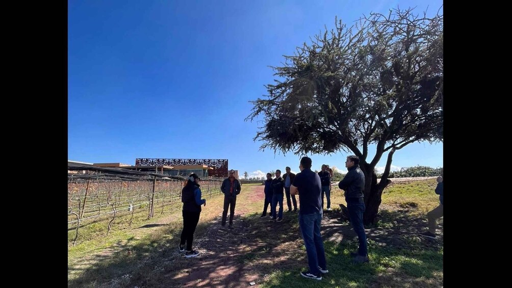 A group of people standing outdoors near a fence and a tree. 4