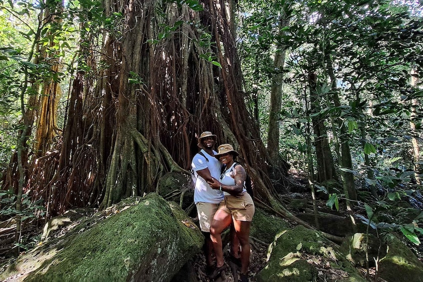 A couple standing in a forest with a large tree with extensive roots. 3