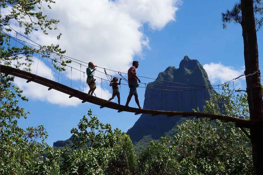 Private Half-Day in Moorea: 3 Pinus Hike & Tree Climbing 1